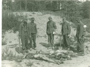 Jeńcy Wehrmachtu ekshumują po zdobyciu Wilna przez Sowietów ofiary masowych mordów w Pona-rach. Jeniec z lewej strony widoczny z polowym pasem i klamrą z napisem „Gott mit uns” (zbiory In-stytutu Pamięci Narodowej)