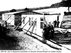 Budowa baraków w obozie Gross-Rosen w czasie wojny