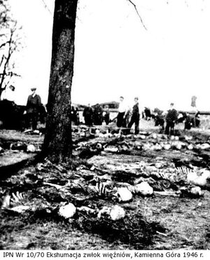 Ekshumacja zwłok więźniów , Kamienna Góra 1946