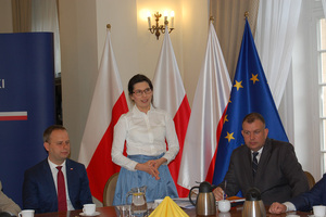 Dominika Arendt-Wittchen, Pełnomocnik Wojewody ds. obchodów Stulecia Odzyskania Niepodległości