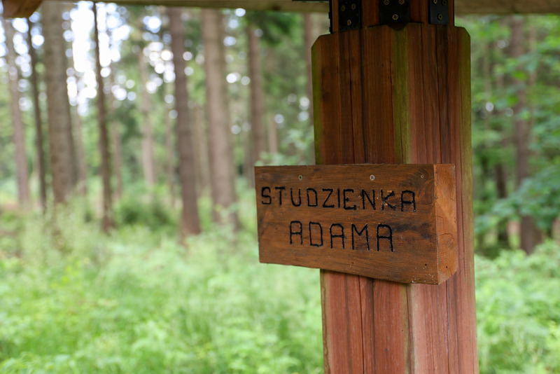 Rajd Szlakiem Kurierów Solidarności w Górach Złotych dla uczniów klasy ósmej SP nr 96 im. Leonida Teligi we Wrocławiu, 18-19 czerwca 2024/ fot. Agata Ligęcka IPN Wrocław