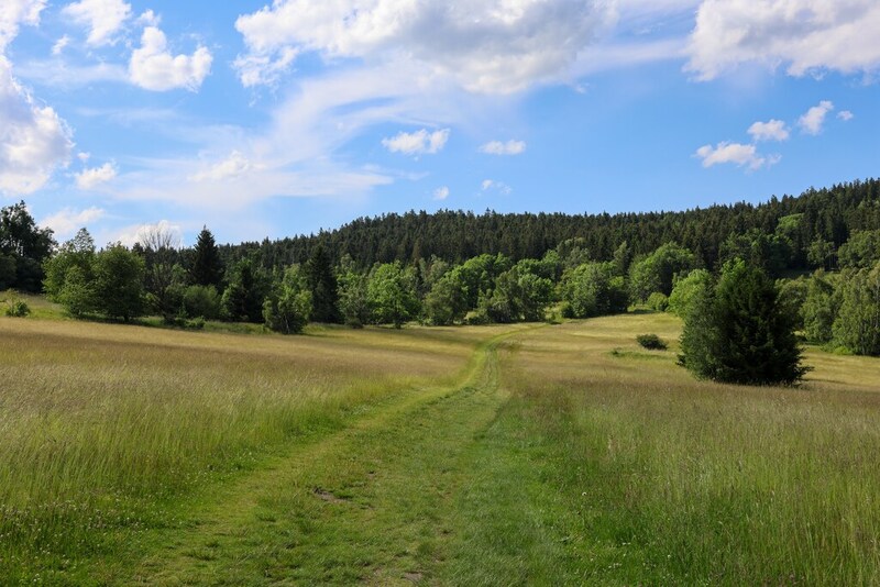 Rajd Szlakiem Kurierów Solidarności w Górach Złotych dla uczniów klasy ósmej SP nr 96 im. Leonida Teligi we Wrocławiu, 18-19 czerwca 2024/ fot. Agata Ligęcka IPN Wrocław