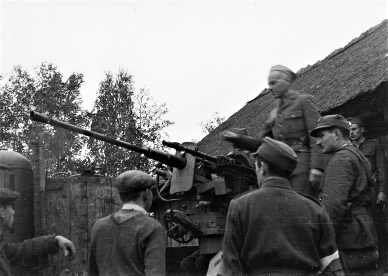 7 Doliniacy w Puszczy Kampinowskiej