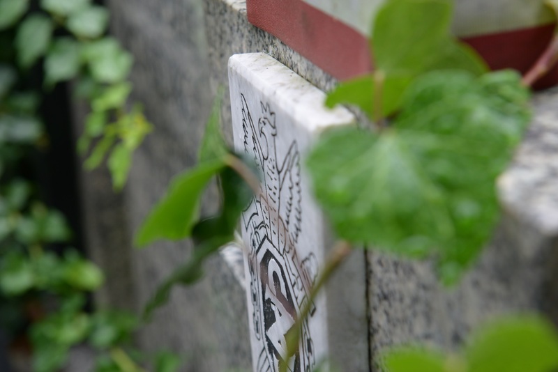 Spacer po cmentarzu św. Wawrzyńca 5.10.2024, fot. Mateusz Jasiński (7)