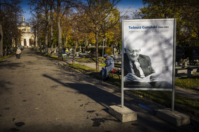 widok na alejkę cmentarza