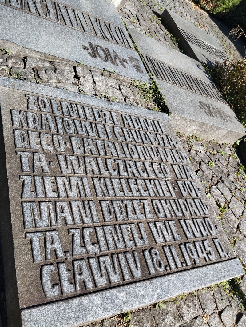 Kwatera zbiorowa z pomnikiem żołnierzy AK na Cmentarzu Świętej Rodziny na wrocławskim Sępolnie. Fot. Janusz Gajdamowicz