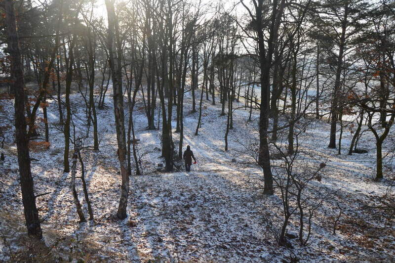 zdjęcie wykonane na zewnątrz, Moment zajęć, przebranie historyczne Mikołaja Sokalskiego