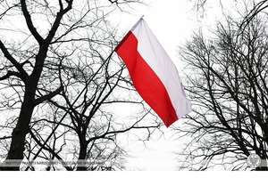 Obchody Narodowego Dnia Pamięci Żołnierzy Wyklętych na Cmentarzu Osobowickim we Wrocławiu
