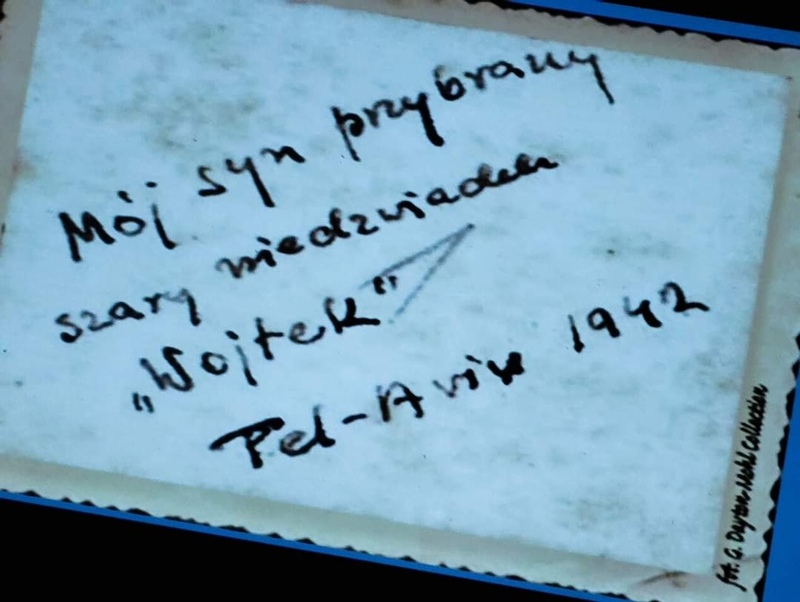 O niedźwiedziu Wojtku w Łozinie oraz Bykowie a także w SP w Szczodrem - 3 listopada 2023